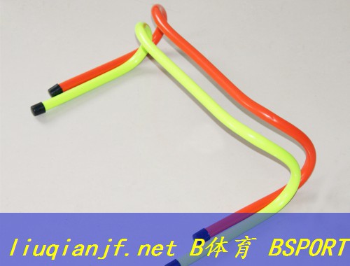 河北小学体育器材数量